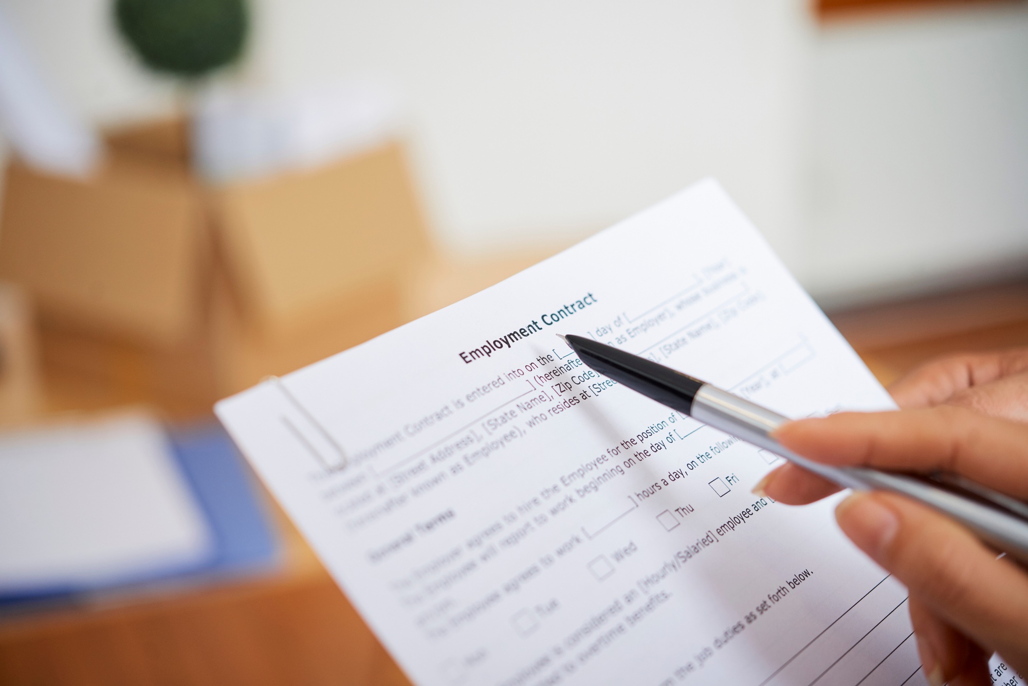 Business lady checking employment contract